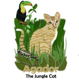 Agador Merchandise | Agador and Mila's Jungle Adventure | Children's Picture Book  | Amazon & Amazon Kindle